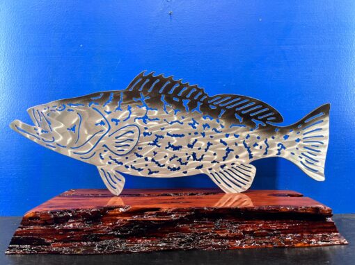 Black Grouper - Standing Mount