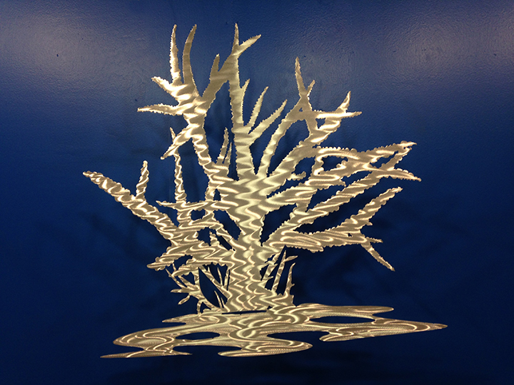 Staghorn Coral